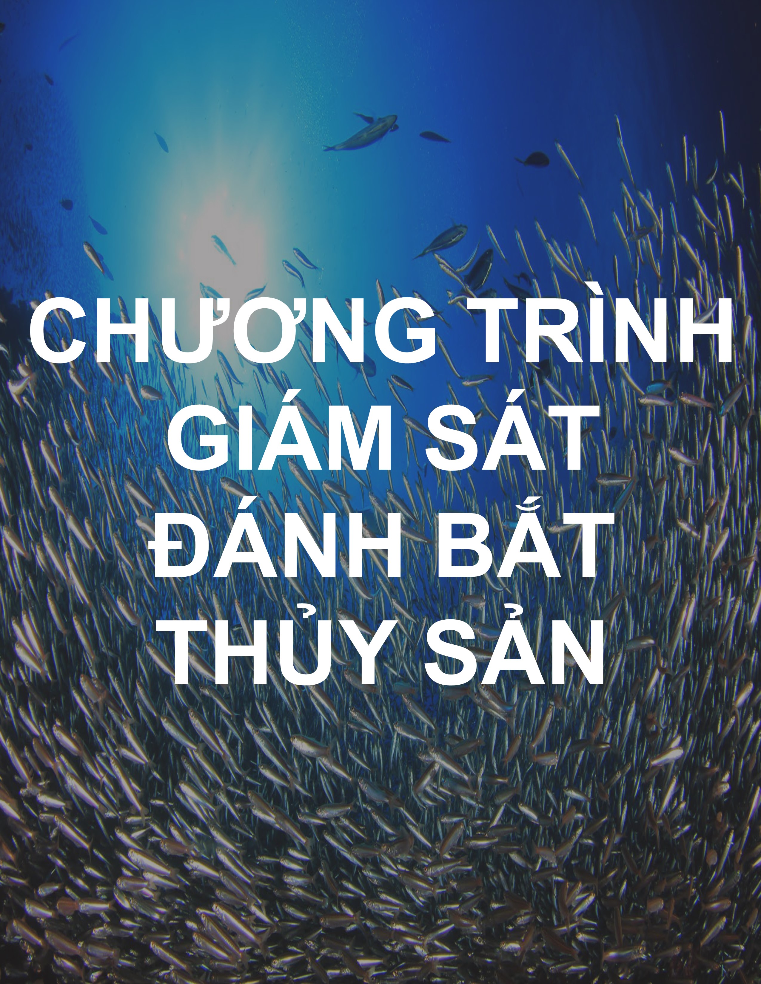 Chương trình giám sát đánh bắt thủy sản
