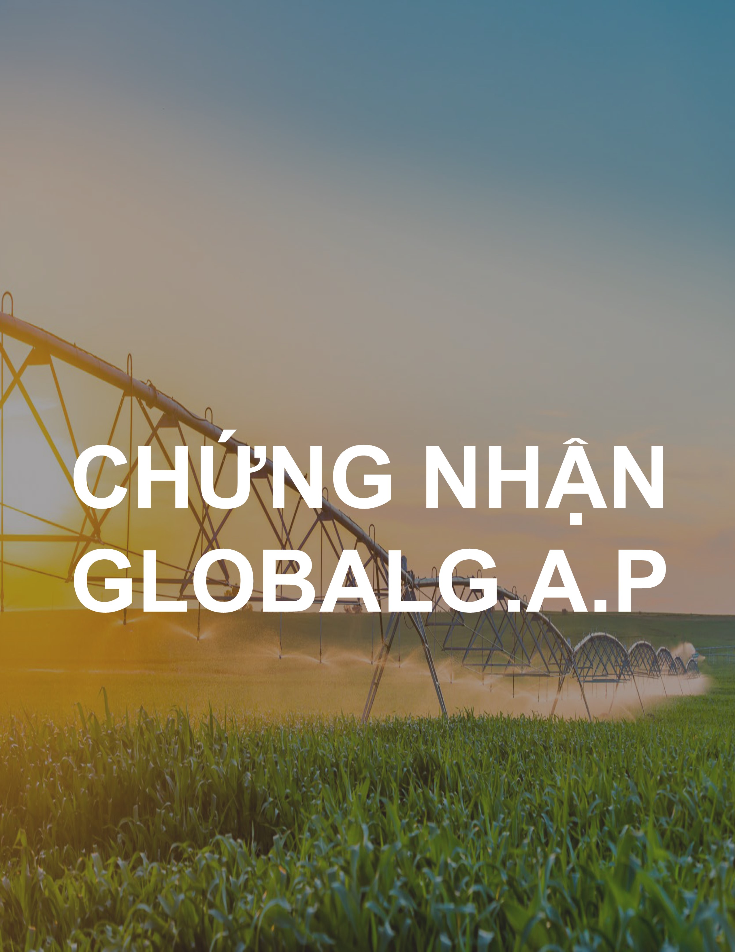 CHỨNG NHẬN GlobalG.A.P