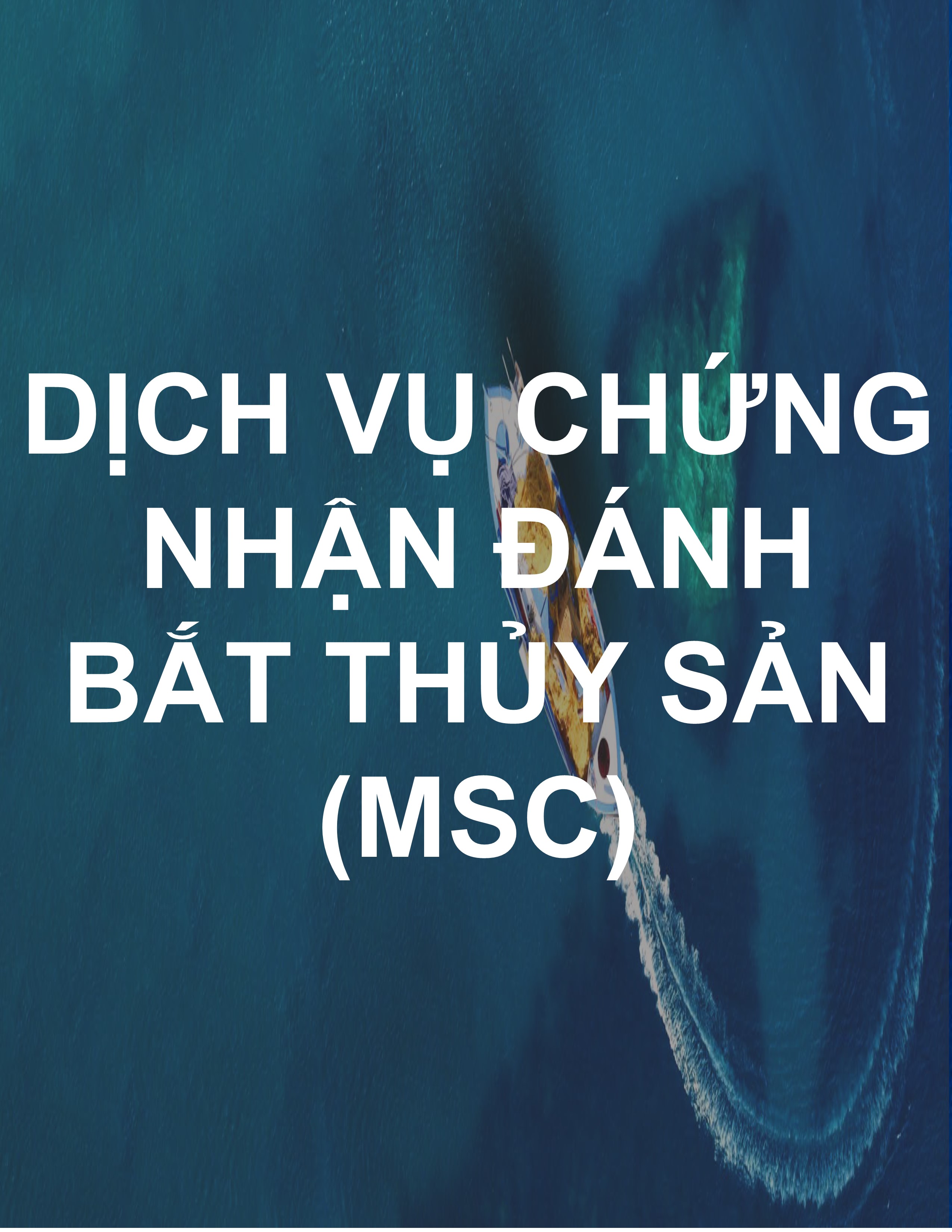 Chứng nhận MSC