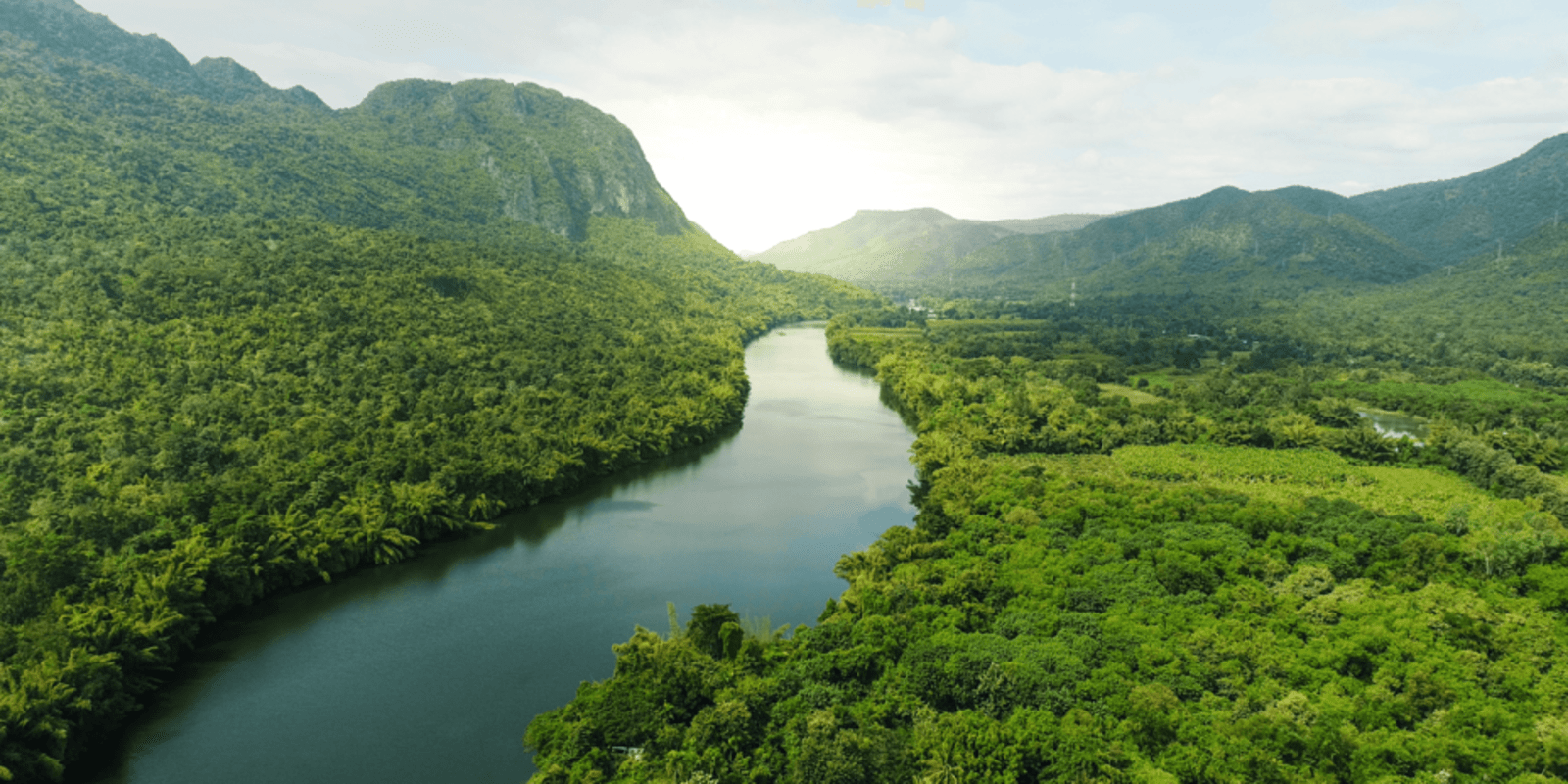 BUREAU VERITAS, KAYRROS AND OPTEL JOIN FORCES TO HELP COMPANIES REDUCE SUPPLY CHAIN-INDUCED DEFORESTATION