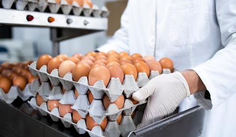WORLD FOOD SAFETY DAY 2024: AN INCREASED NEED FOR PROTECTION AND TRANSPARENCY
