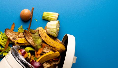 International Day of Awareness of Food Loss and Waste