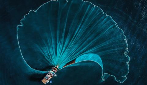 Kiến thức tổng quan về Thẩm định chi tiết các nguyên liệu thức ăn ASC