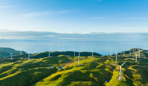 Lộ trình Net Zero tại Việt Nam