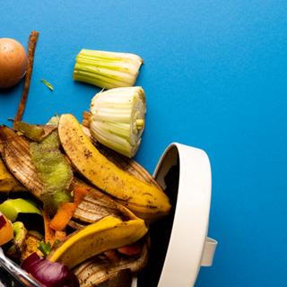 International Day of Awareness of Food Loss and Waste