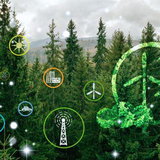 Hỏi đáp: CBAM 2026 trong thực tế - Từ đo lường phát thải đến sẵn sàng cho nghĩa vụ carbon