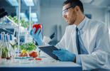 Cover image for this insight article