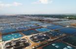 Hội thảo: Cập nhật tiêu chuẩn ASC Farm Standard Version 1.0 - Bước tiến mới trong nuôi trồng thủy sản bền vững