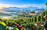 [WEBINAR] NÂNG CAO HIỆU LỰC HỆ THỐNG TRUY XUẤT NGUỒN GỐC