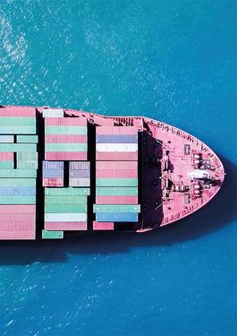 CONTAINER SHIPS