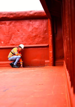 Cleanliness inspection of vessels