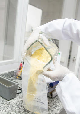 Grading, Standardization & Packing