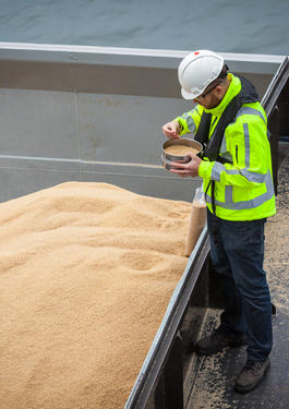 Quality & Quantity determination