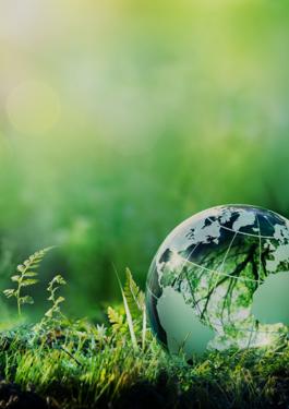 BV GREEN LINE OF SERVICES & SOLUTIONS