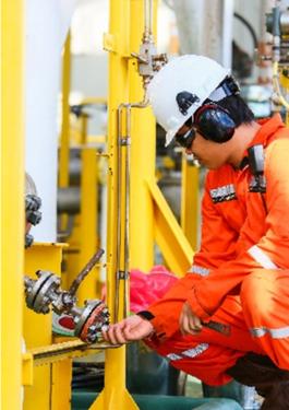 Machinery inspections and audits