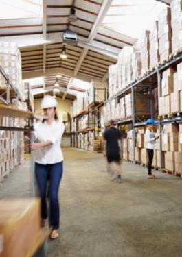 FACTORY AUDITS