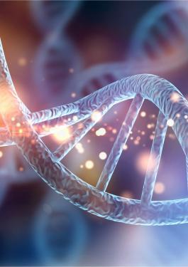 DNA AUTHENTICITY