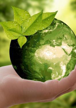 ENVIRONMENTAL SUSTAINABILITY