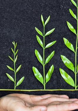 SOCIAL COMPLIANCE MARKET SHARE