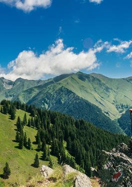 BV GREEN MARK CERTIFICATION AND VERIFICATION