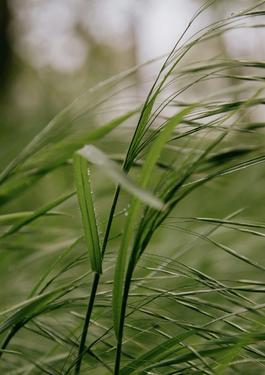 Hệ thống Quản lý Môi trường ISO 14001 