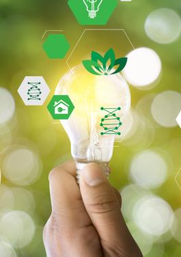 Dịch vụ Chứng nhận các Tuyên bố Bền vững 