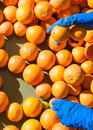 FOOD INDUSTRY TRAINING