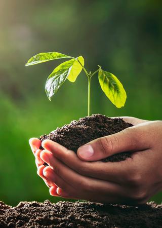 ISO 14001: Tái định hình trọng tâm vào phát triển bền vững 