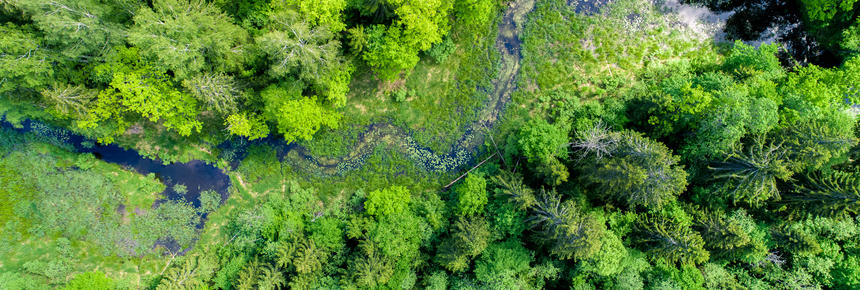 SHAPING BETTER WORLD 