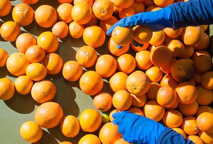 Food Industry Training 