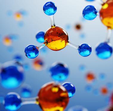 INPUT MANAGEMENT & CONTROL